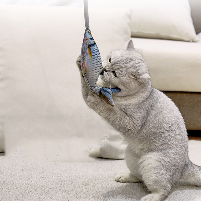Creative Pet Toy