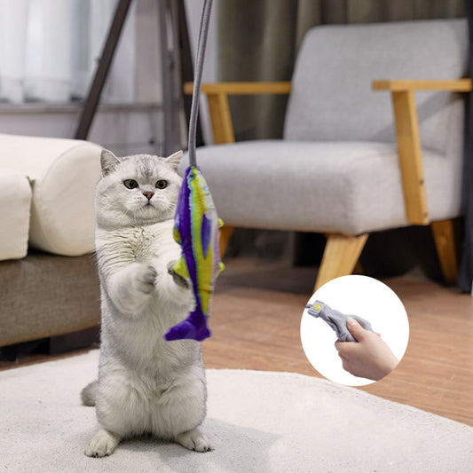 Creative Pet Toy