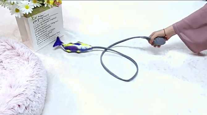 Creative Pet Toy