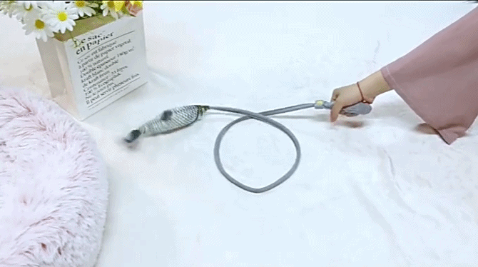 Creative Pet Toy