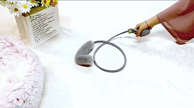 Creative Pet Toy