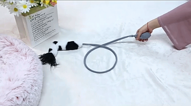 Creative Pet Toy